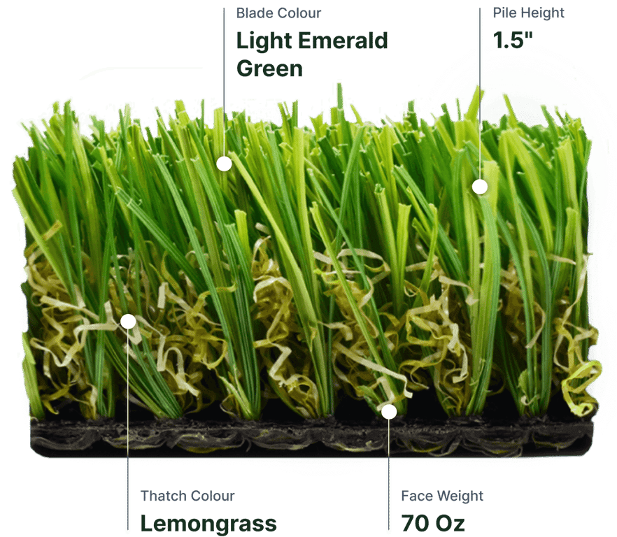 Lemongrass
